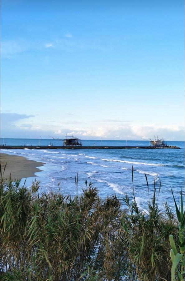 Magnolia Casa Di Campagna Costa Dei Trabocchi ロッカ・サン・ジョヴァンニ エクステリア 写真