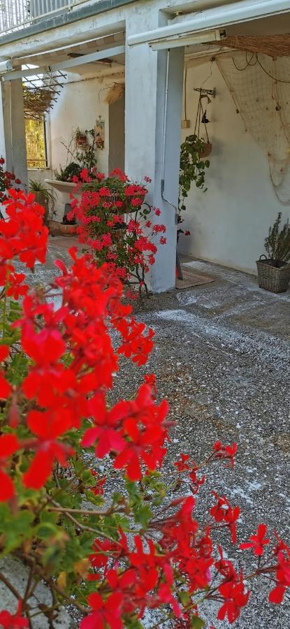 Magnolia Casa Di Campagna Costa Dei Trabocchi ロッカ・サン・ジョヴァンニ エクステリア 写真