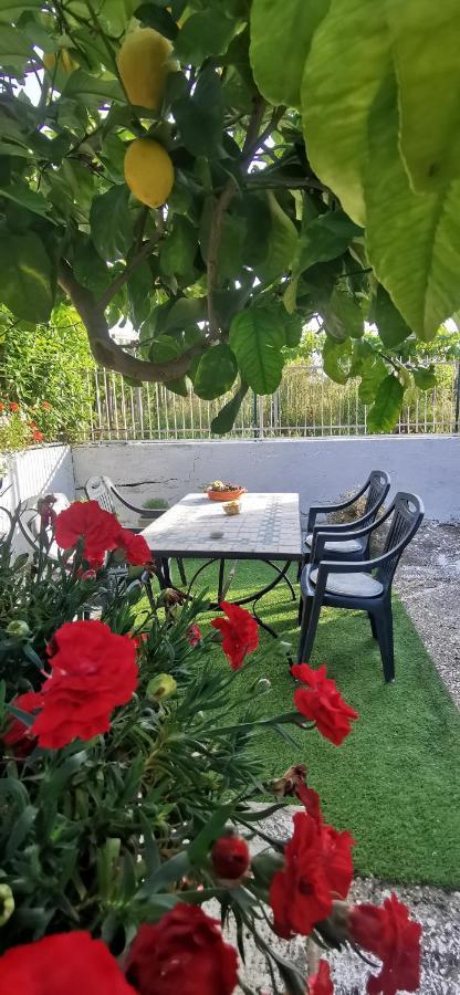Magnolia Casa Di Campagna Costa Dei Trabocchi ロッカ・サン・ジョヴァンニ エクステリア 写真